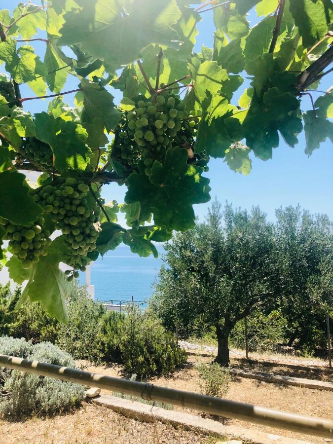Villa Dani Sea & Pool Apartments Trogir Bagian luar foto