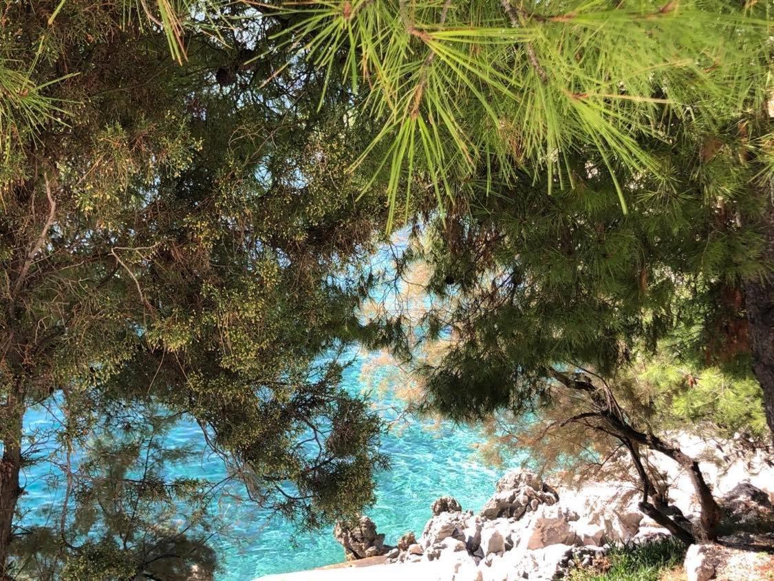 Villa Dani Sea & Pool Apartments Trogir Bagian luar foto